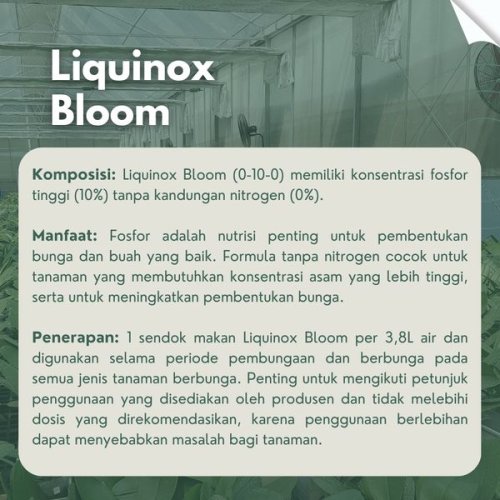 Liquinox Bloom