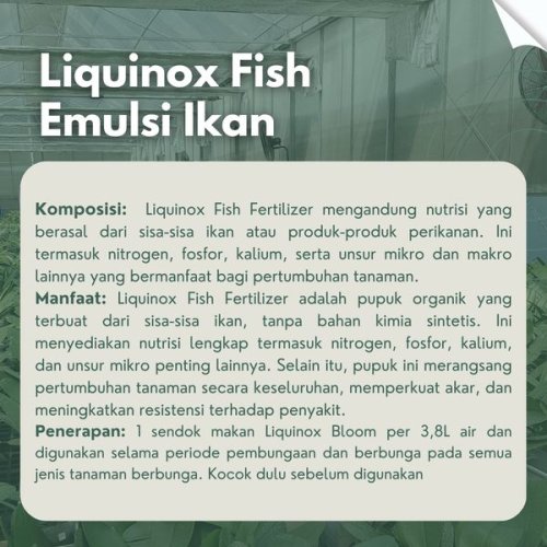 Liquinox Fish