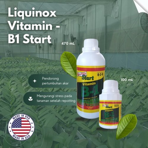 Liquinox Vitamin B1