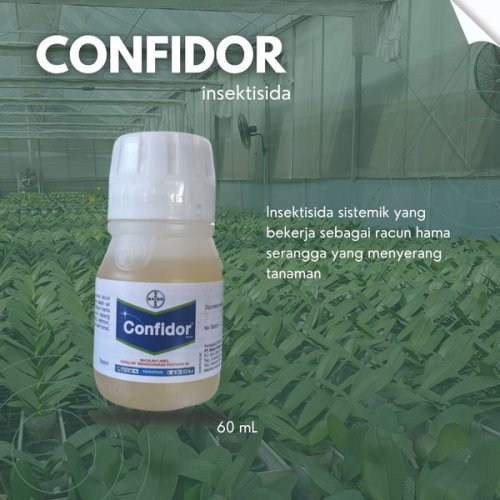 Confidor