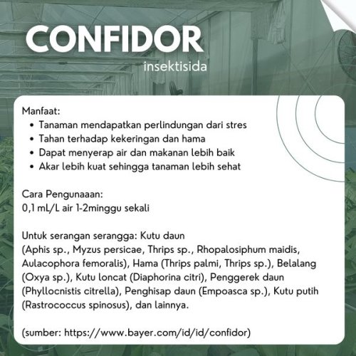 Confidor
