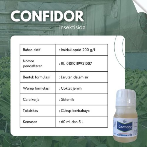 Confidor