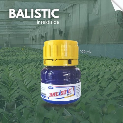 Balistic
