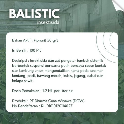 Balistic