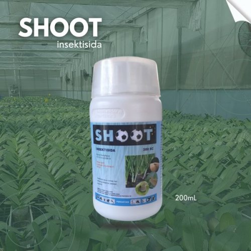 Shoot