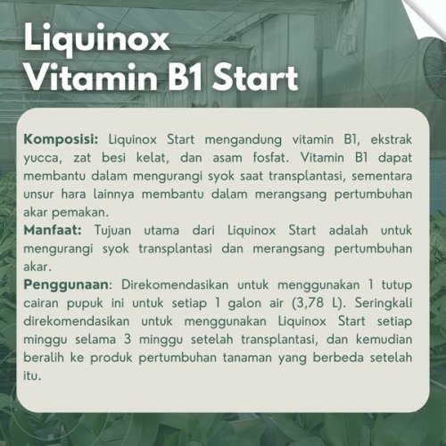 Liquinox Vitamin B1
