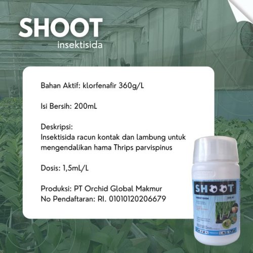 Shoot