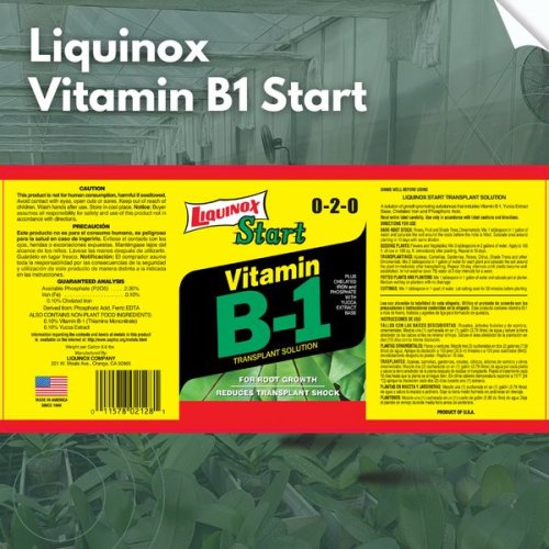 Liquinox Vitamin B1