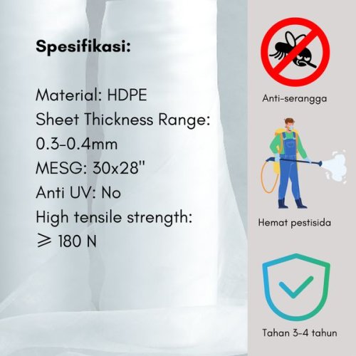 Insect Net
