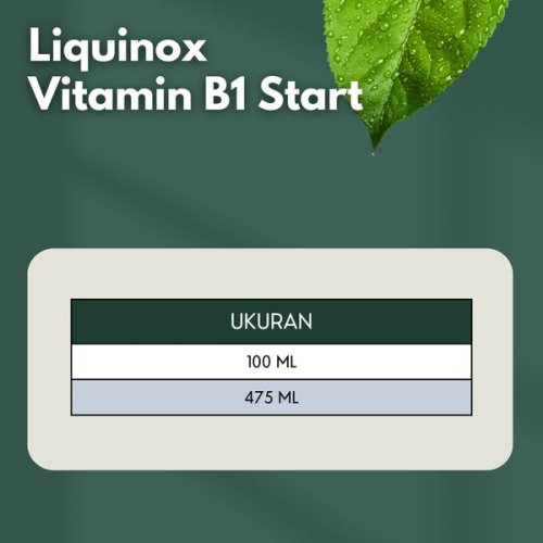 Liquinox Vitamin B1