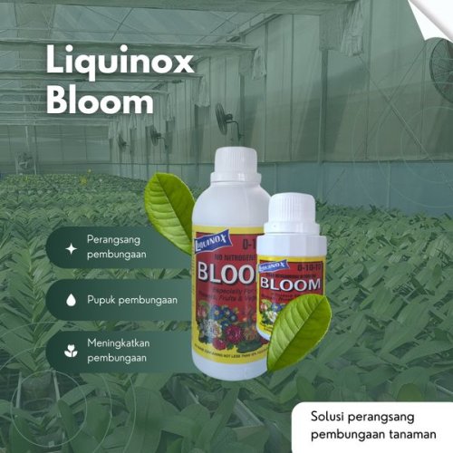 Liquinox Bloom