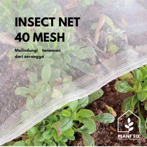 Insect Net