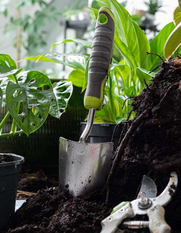 Tips Perawatan green house Agar Tetap Optimal Sepanjang Tahun