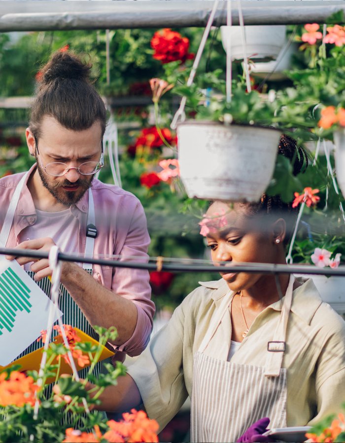 Tips Perawatan green house Agar Tetap Optimal Sepanjang Tahun