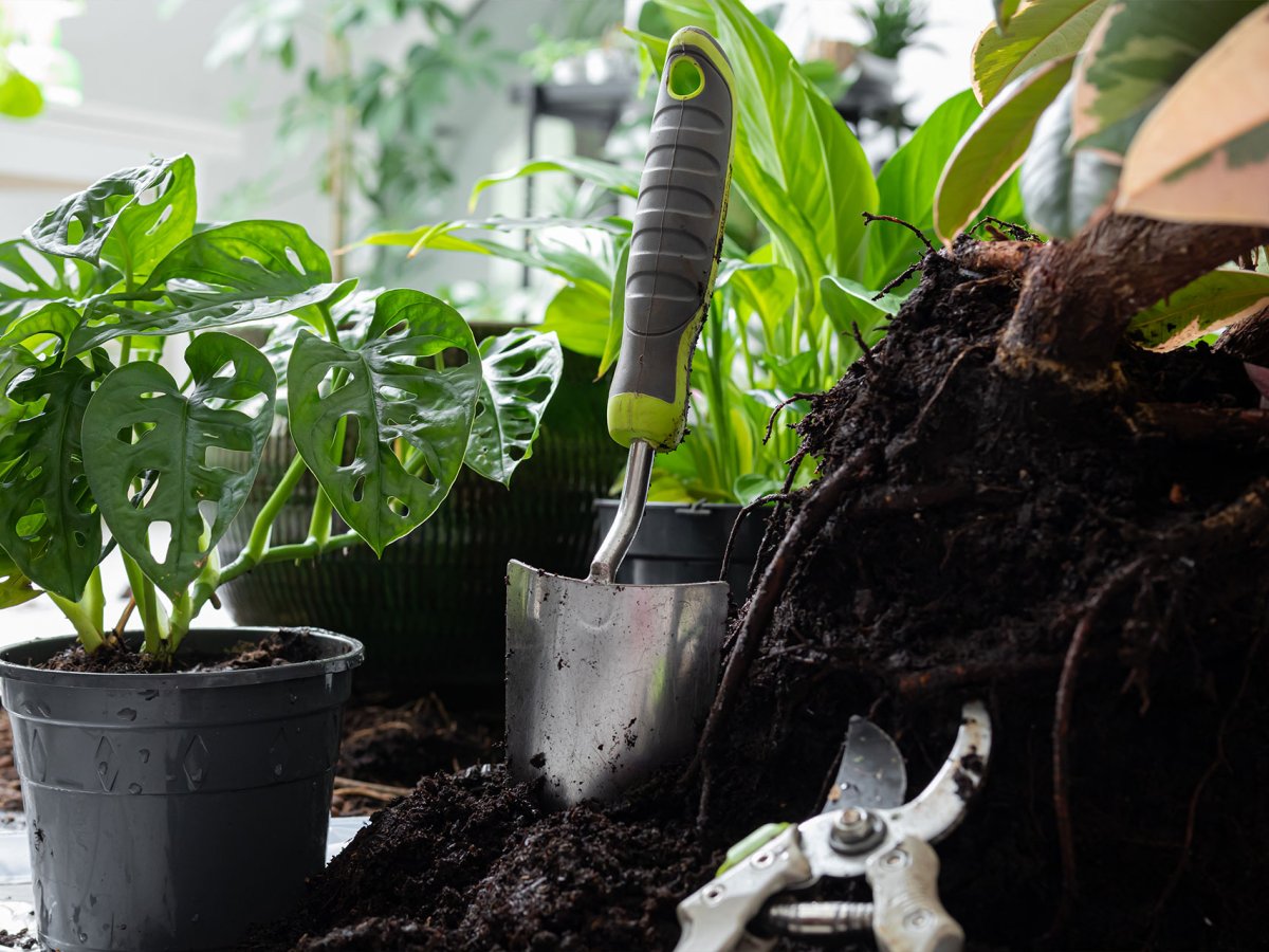 Tips Perawatan green house Agar Tetap Optimal Sepanjang Tahun