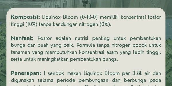 Liquinox Bloom