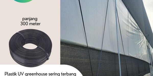 SPRING HOOK + GREENHOUSE BAND