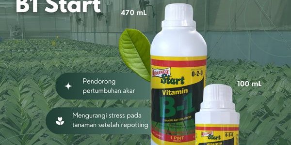 Liquinox Vitamin B1