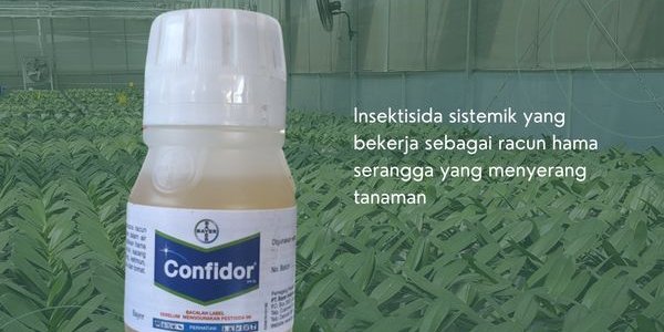 Confidor