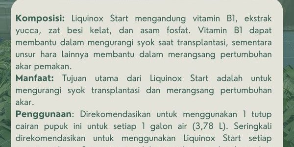 Liquinox Vitamin B1