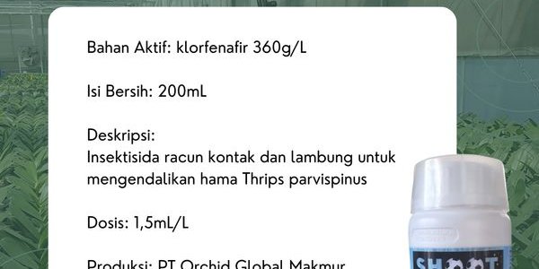 Shoot