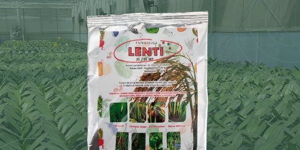 Lenti