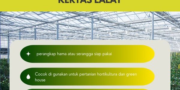 Kertas Lalat