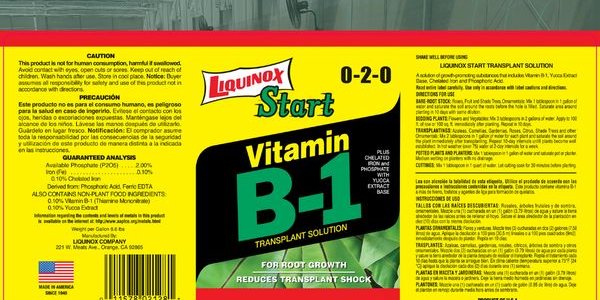 Liquinox Vitamin B1