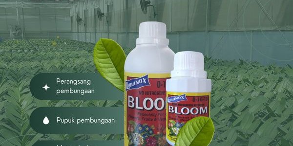 Liquinox Bloom