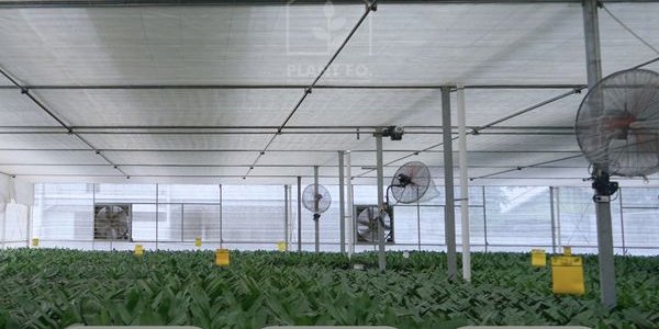 Aluminium Net
