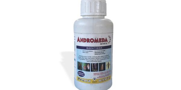 Andromeda