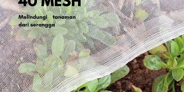 Insect Net
