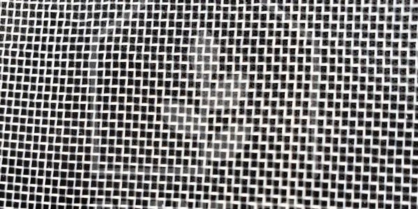 Insect Net
