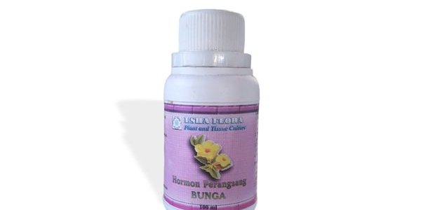 Hormon Perangsang Bunga