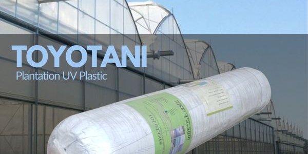 3. PLASTIK UV TOYOTANI
