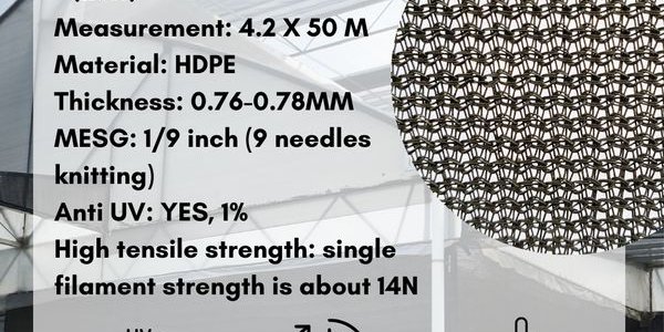 Knitting Net