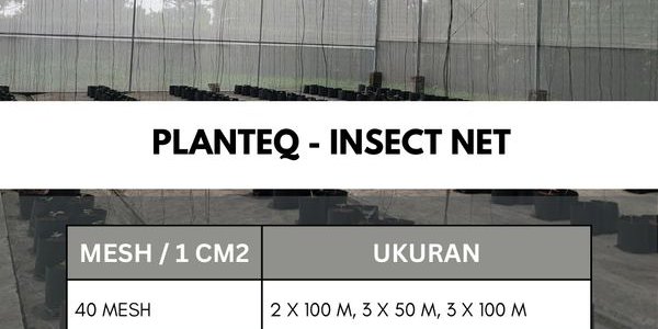 Insect Net