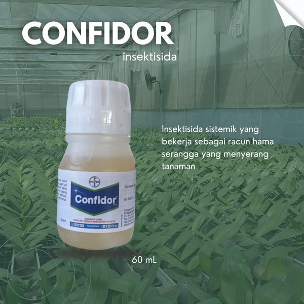 Confidor