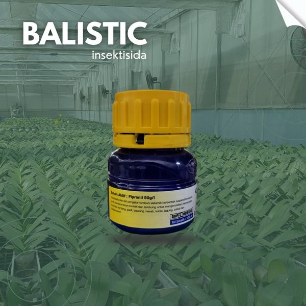 Balistic