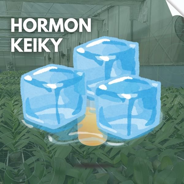 Keiky