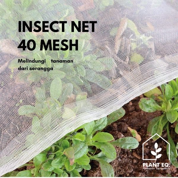 Insect Net