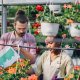 Tips Perawatan green house Agar Tetap Optimal Sepanjang Tahun